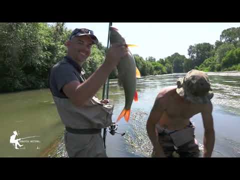 Ribolov na klen i mrena so dudinka - murenka - crnica 2 del