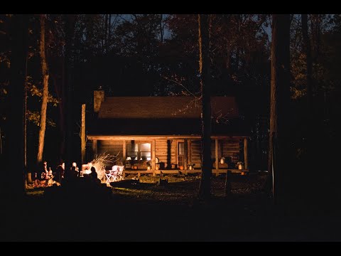 Crackling Fire at Night Dark Background Video