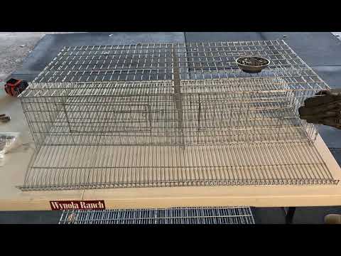 HOW TO BUILD A QUAIL CAGE.