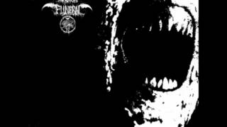 Black Funeral - Impaled Fields
