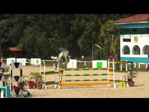 E3I Flying-High das Umburanas 6anos - Cardento x Carpe Diem Z - 03/09/2015