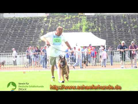 Larsen du Domaine du Parc