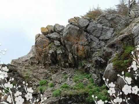 Love At 11 Years Old--Lloyd Snow