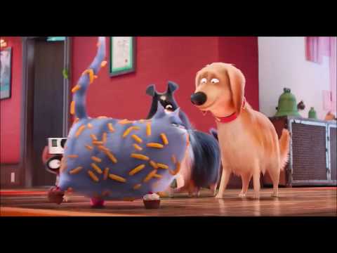 The Secret life of Pets - Chloe funny video