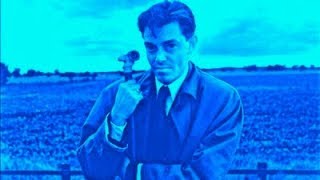 BILL NELSON John Peel 2nd June 1981