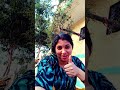 Pinky Vlogs