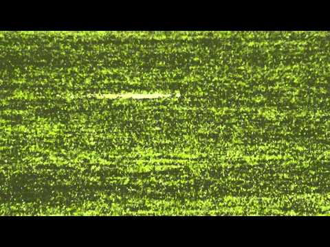 13 feb 2012 FC Utrecht D1 - VV De Meern C2 vr 5-4 Sneeuw?