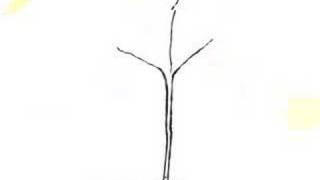 Little Acts Of Kindness  by Young Masters LIttle Wisdom