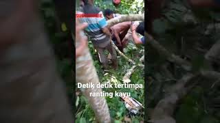 Download lagu detik detik tertimpa ranting kayuðŸ˜ðŸ˜ mp3 Download lagu detik detik tertimpa ranting kayuðŸ˜ðŸ˜ mp3