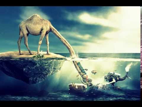 Myrtox - Vater Morgana