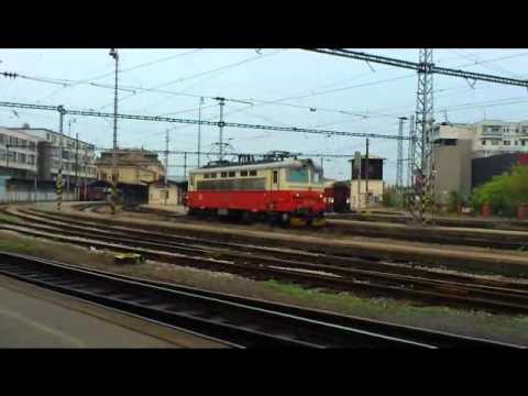 Plecháč 242 235 - 0 v Brně