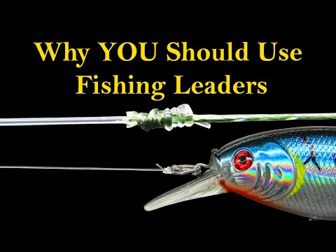 Fishing Leaders & Why YOU Need to Use Them