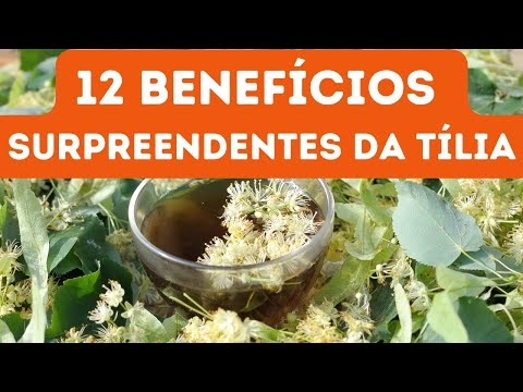 12 BENEFÍCIOS SURPREENDENTES DA TÍLIA PRA TURBINAR A NOSSA SAÚDE