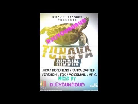 TUN OVA RIDDIM MIX [BIRCHILL RECORDS] JUNE 2013 @DJ-YOUNGBUD