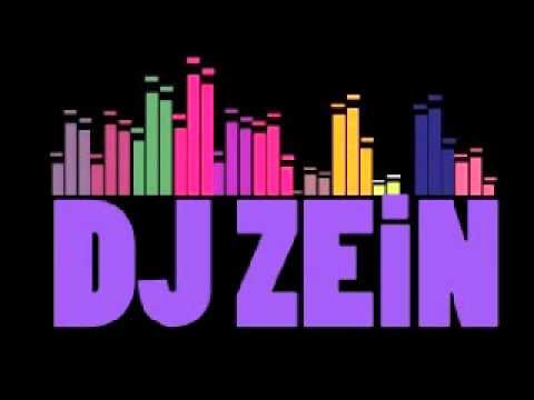 MGMT - Kids (ZEiN Bootleg Remix)