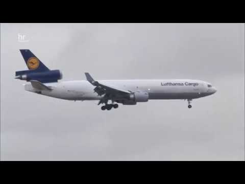 Lufthansa Cargo - Ein Flieger voller afrikanischer Rosen