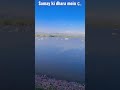 Samay Ki Dhara Me Kishorekumar Latamangeshkar Ytshorts Shorts Subscribemychannel Oldisgold
