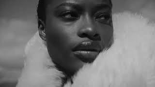 Banana Republic The November Collection