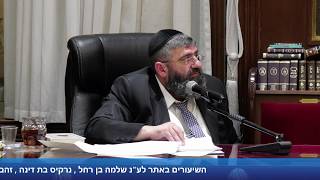 הרב אייל עמרמי - הפרנסה תגיע בלי דאגה - כד' אייר תשפ"ו [11.05.26]