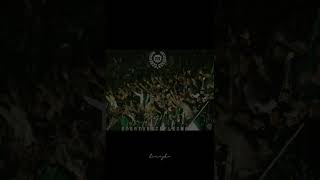 Download lagu story wa 30 detik pss sleman-ale ale super elja ale mp3