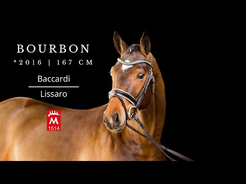 Bourbon *2016 v. Baccardi - Lissaro