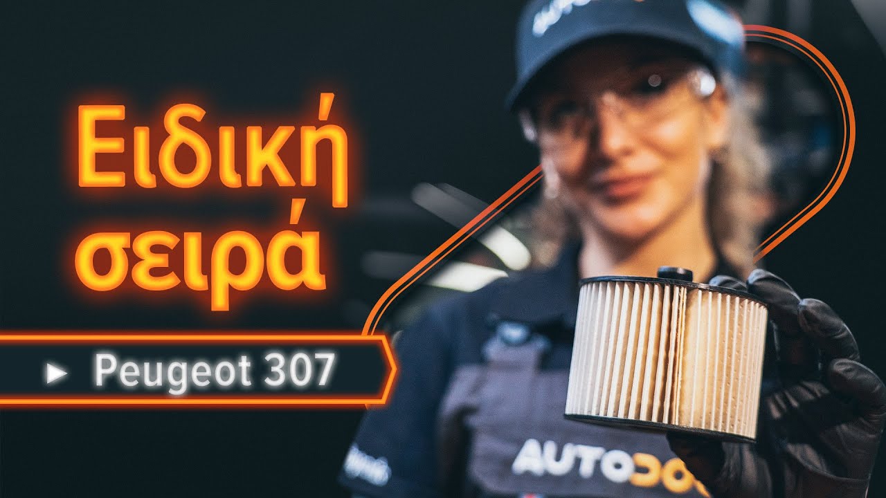 Πώς να αλλάξετε φιλτρο καυσιμου σε Peugeot 307 SW - Οδηγίες αντικατάστασης