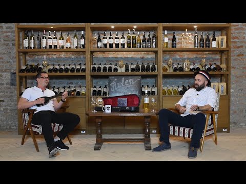 Kulen Travel Podcast #7 - Tamburicom oko svijeta  - Damir Ergotić, TS Dyaco