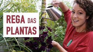 Miniatura do vídeo