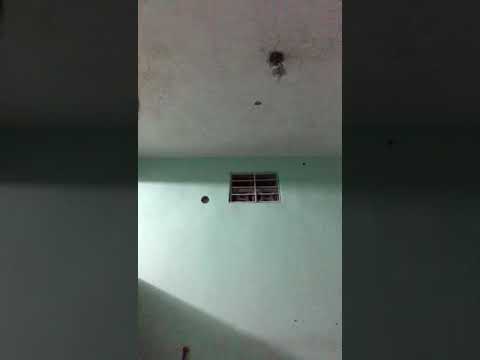 Los menores Del saoco