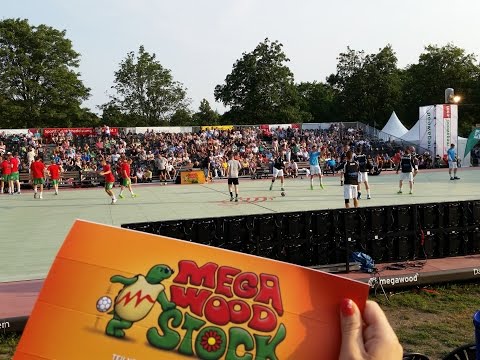 HOLF beim Megawoodstock 2015 in Aschersleben