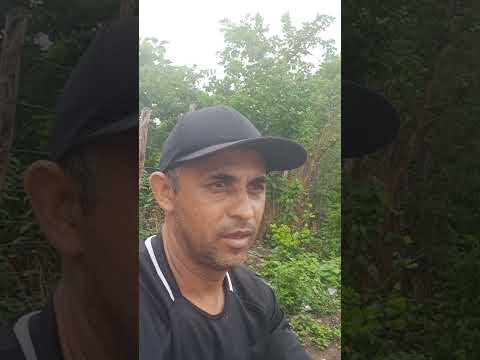 #Short tempo chuvoso na região do Piauí Esperantina