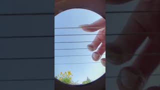 【サウンドホールからの風景】「Summer」ちょこっと! by Osamuraisan #Shorts