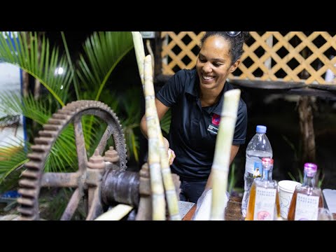 Opening Party - Grenada Chocolate Festival 2023