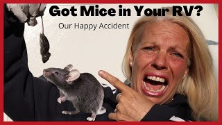 RV Quick Tip- How We Get Rid of Mice in our RV!