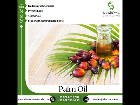 Palm Kernel Essential Oil