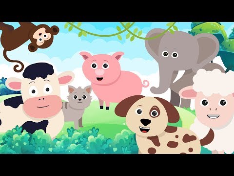 Leuke dieren en natuurlijk de geluiden die ze maken / Kinderen leren dierengeluiden herkennen Deel 1