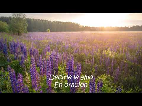 Junto a Tus Pies / Danilo Montero / con letra / piano