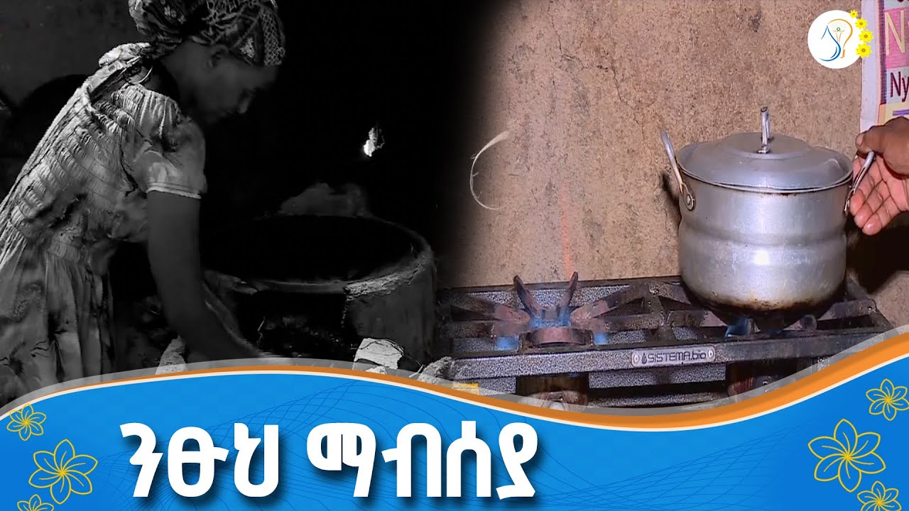 የ10 ዓመታት የንፁሕ ማብሰያ ፍኖተ ካርታ