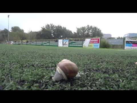 "8 Liga Mistrzów"  odc. 2 - Magazyn Klasy B