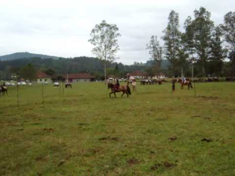 Thiago fazendo prova de rédeas - Costa da Serra