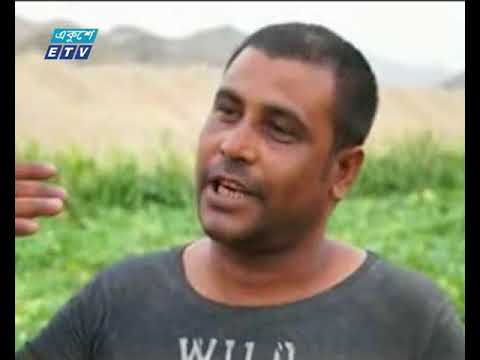 সৌদি আরবের সবজি চাষ করে লাভবান হচ্ছেন প্রবাসী বাংলাদেশীরা