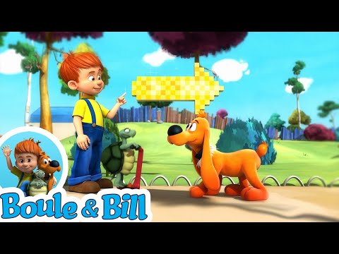 🥳 Boule a organisé une chasse à l'os pour l'anniversaire de Bill 🦴 - Compilation Boule et Bill