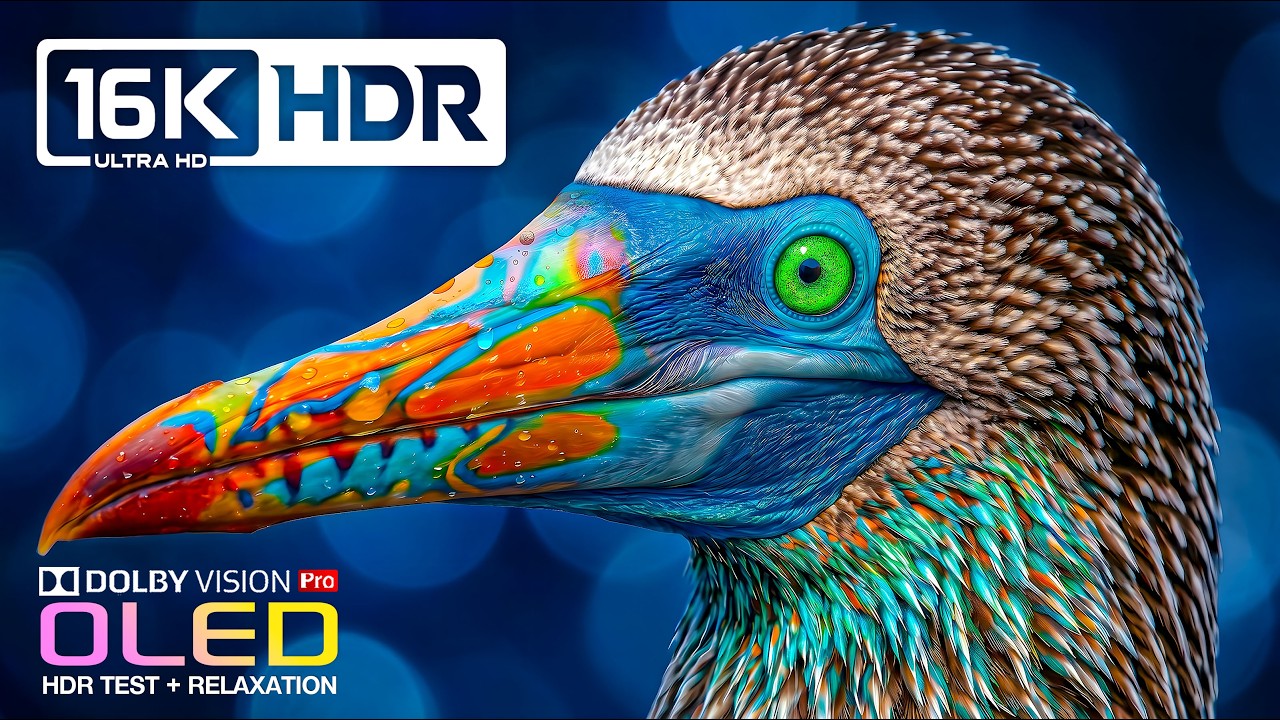 Incredible OLED HDR Showcase | Dolby Vision 120fps | 16K ULTRA HD Nature Video (8K/4K Video TV)