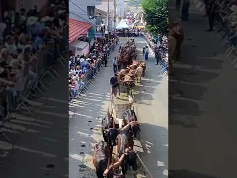 CONGONHAL, O MAIOR DESFILE DE TODO O ESTADO DE MINAS !