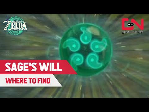 Where to Find Sage's Will Locations in Zelda Tears of the Kingdom
