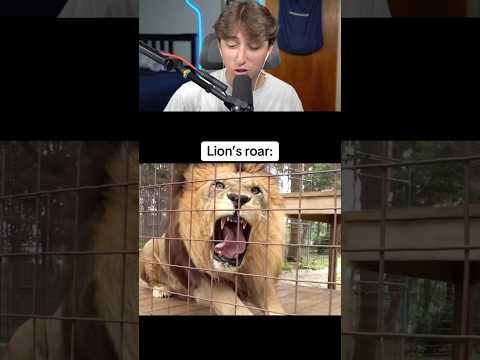 LION VS TIGER ROAR! #shorts