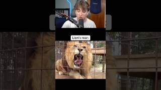 LION VS TIGER ROAR! #shorts
