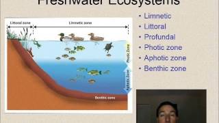 Biology Honors Aquatic Ecosystems Lecture
