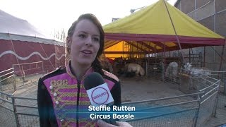 preview picture of video 'Circus Bossle in Doesburg'
