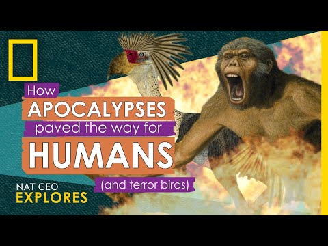 世界末日是如何為人類（和恐怖鳥類）鋪平道路的｜Nat Geo Explores(自然地理探索) (How Apocalypses Paved the Way for Humans (and terror birds) | Nat Geo Explores)